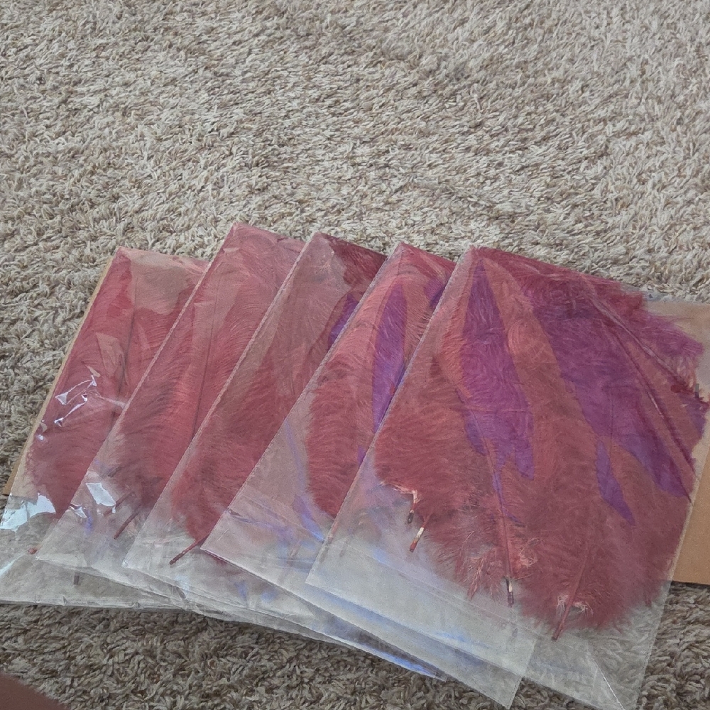 Women's Dark Red 12 Inch Ostrich Feathers